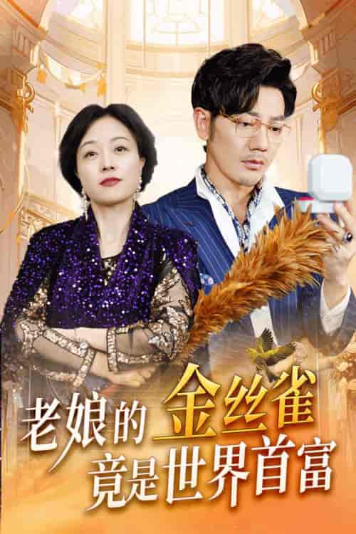 老娘的金丝雀竟是世界首富（31集）-初遇资源网