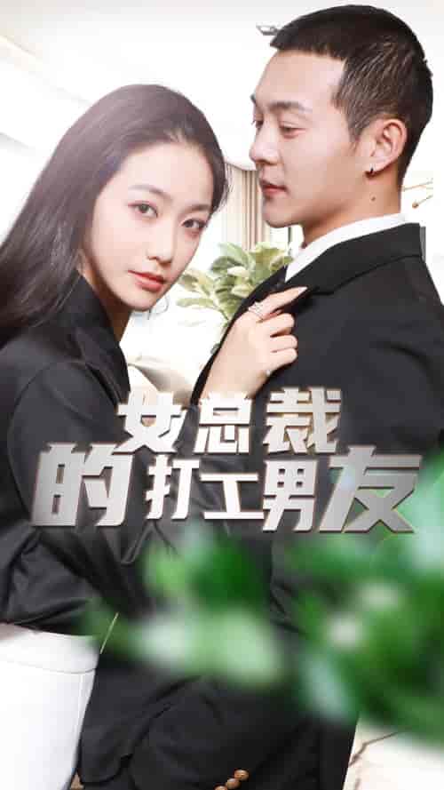 女总裁的打工男友（90集）-初遇资源网