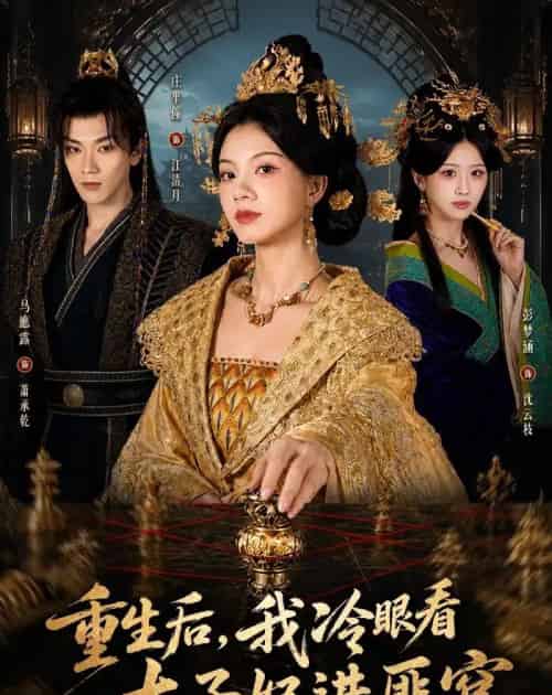 重生后,我冷眼看太子妃进匪窝(60集全)庄芈僮&马鹰露-初遇资源网