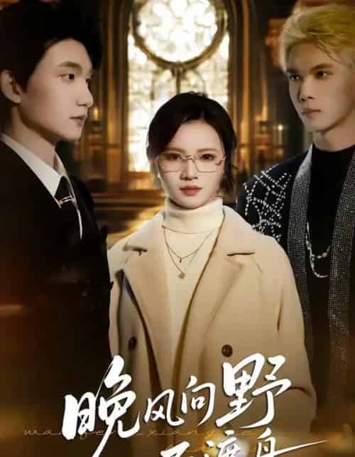 晚风向野不渡舟（60集全）丁紫嫣＆李昊成-初遇资源网