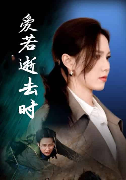 爱若逝去时（76集全）宋政＆顾时宜-初遇资源网