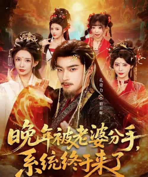 晚年被老婆分手，系统终于来了（80集全）孔奇力＆李若希＆袁颖-初遇资源网