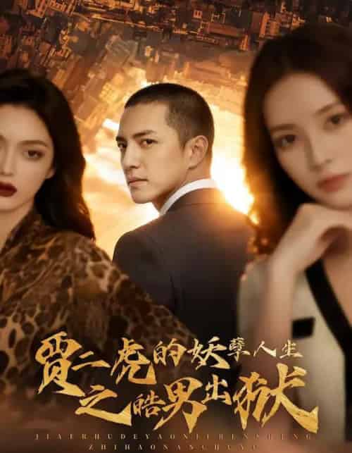 贾二虎的妖孽人生之皓男出狱（75集全）AI-初遇资源网