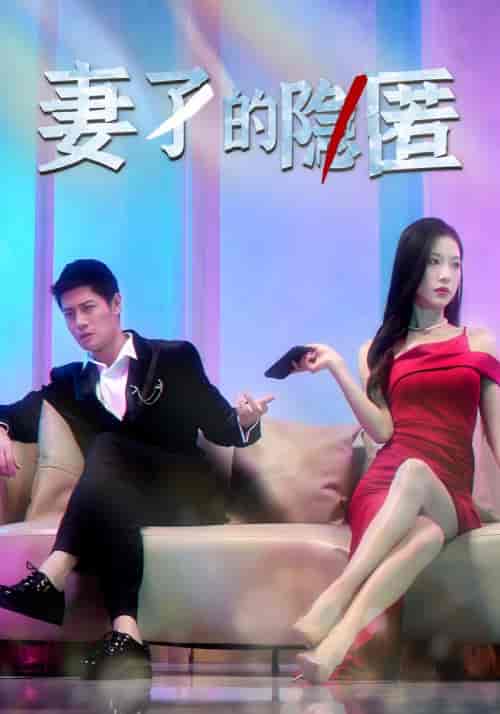 妻子的隐匿（73集全）赵光年＆潘娜娜-初遇资源网