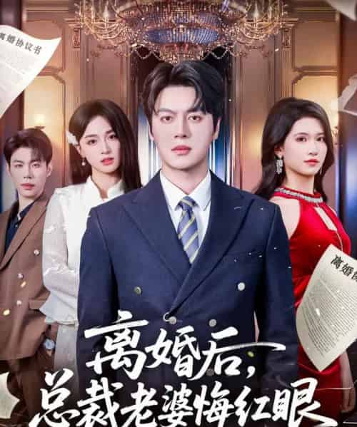 离婚后,总裁老婆悔红眼(61集全)唐幕佳&徐扬灏-初遇资源网