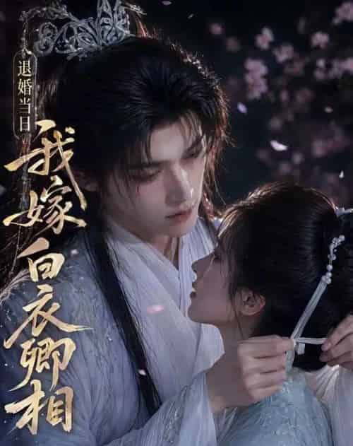 退婚当日我嫁白衣卿相（40集全）AI - 夸克短剧