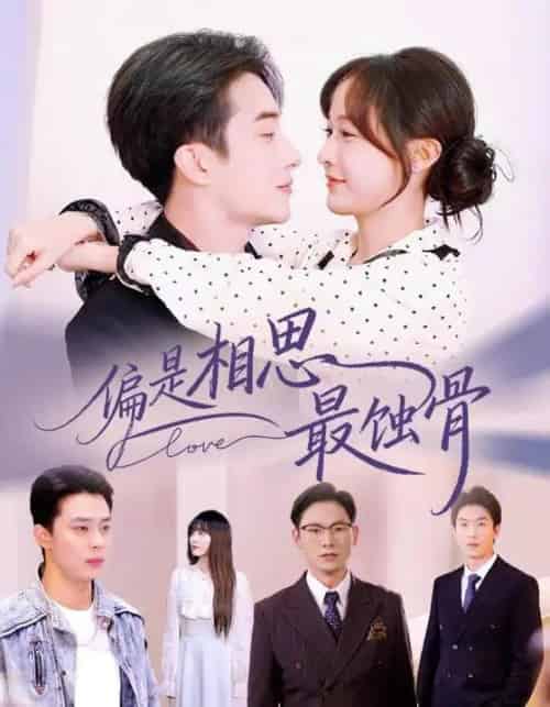 偏是相思最蚀骨&烬爱无归处(70集全)叶庭&白野-初遇资源网