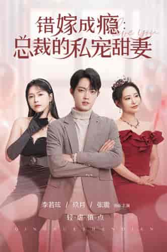 错嫁成瘾：总裁的私宠甜妻（95集）-初遇资源网