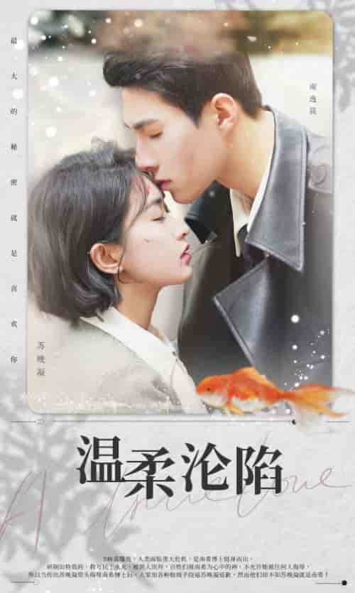 温柔沦陷（50集）-初遇资源网