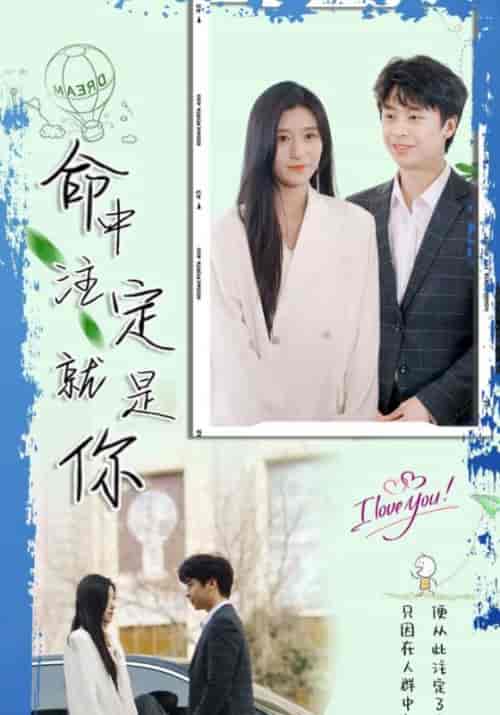 命中注定就是你（100集全）叶启强＆柳楚楚-初遇资源网