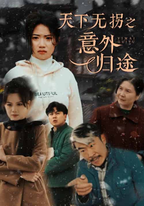 天下无拐之意外归途（61集全）高洁慧-初遇资源网