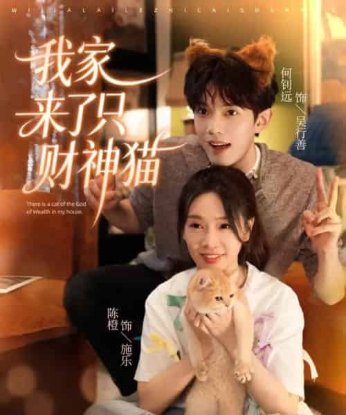 我家来了只财神猫（80集全）何钊远＆陈橙 - 夸克短剧