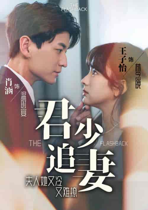 君少追妻，夫人她又冷又难撩（99集）-初遇资源网