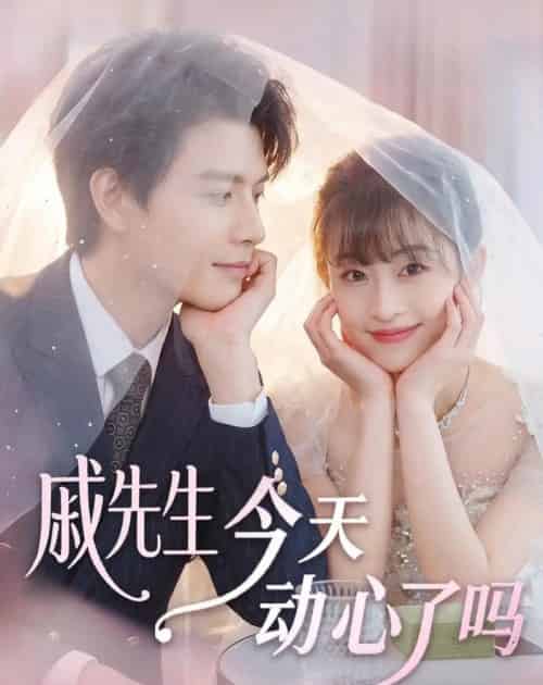 戚先生今天动心了吗（50集全）胥惠棠＆李彬航-初遇资源网