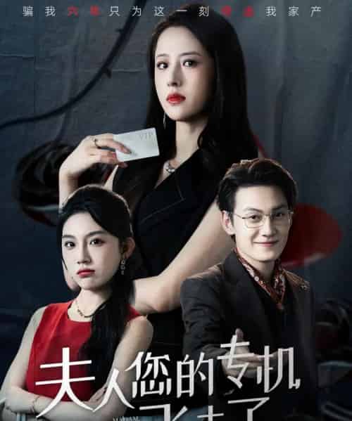 夫人您的专机飞走了(62集全)王婧琦&陈泓龙-初遇资源网