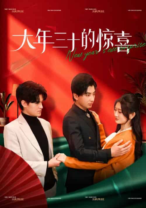 大年三十的惊喜(47集)杨珊子-初遇资源网