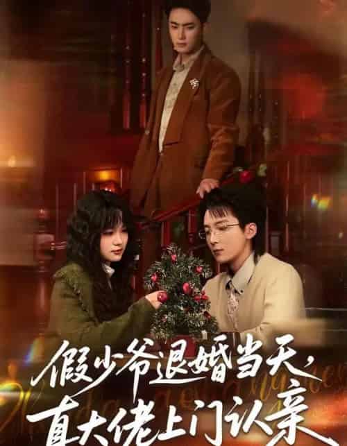 假少爷退婚当天，真大佬上门认亲（50集全）刘海燕＆周宇航-初遇资源网