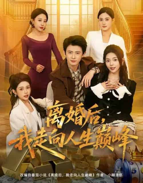 离婚后,我走向人生巅峰(85集全)朱梦茹&王昭-初遇资源网