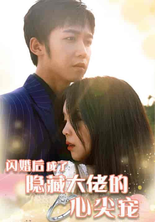 闪婚后成了隐藏大佬的心尖宠（100集全）宴时清＆顾轻轻-初遇资源网