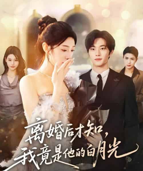 离婚后才知,我竟是他的白月光(64集全)聂文华&焦爱迪-初遇资源网
