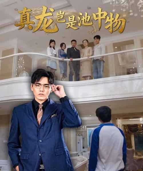 真龙岂是池中物（80集全）孙忠杨＆魏灵尧-初遇资源网