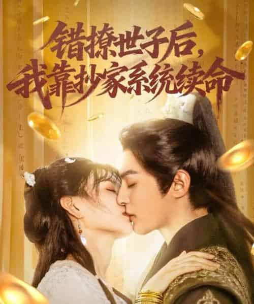 错撩世子后我靠抄家系统续命（60集）黄靖洲（孝太）＆杨帆-初遇资源网