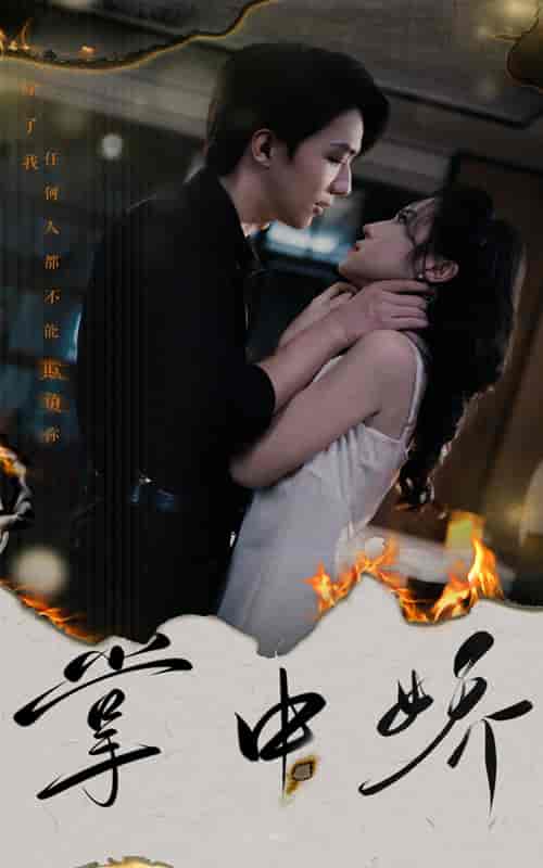 掌中娇(70集)-初遇资源网