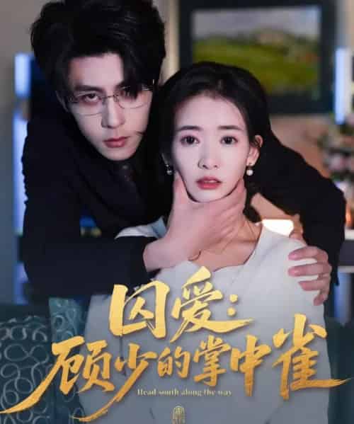 囚爱：顾少的掌中雀（70集全）安奕明＆刘姝妤-初遇资源网