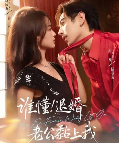 谁懂！退婚老公黏上我（64集全）赵毓杰＆闫醒-初遇资源网