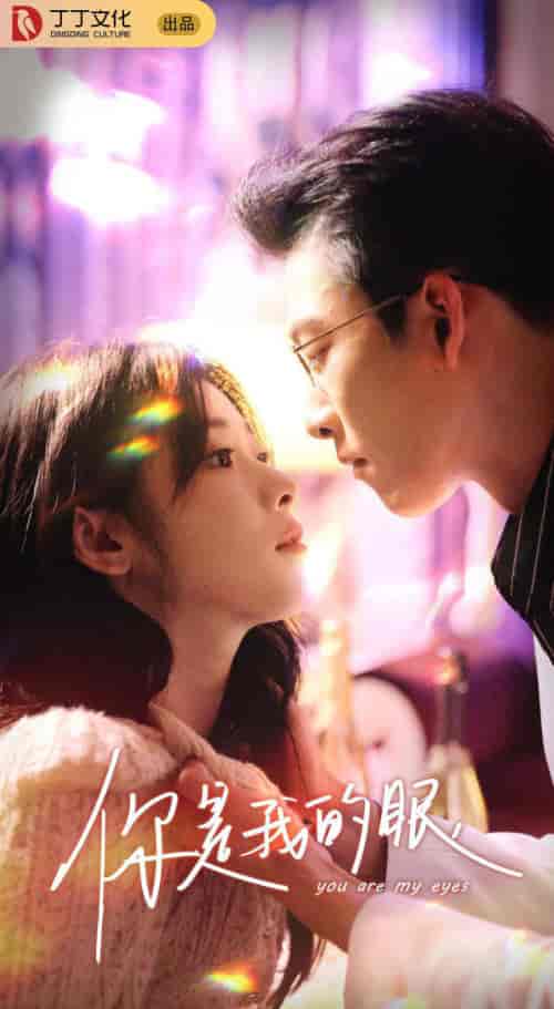 你是我的眼（76集）-初遇资源网