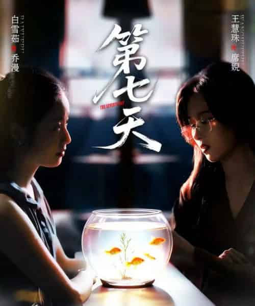 第七天(48集全)白雪茹&王慧珠-初遇资源网