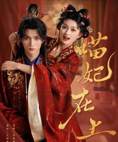 喵妃在上（64集）王培延＆查袆琛-初遇资源网