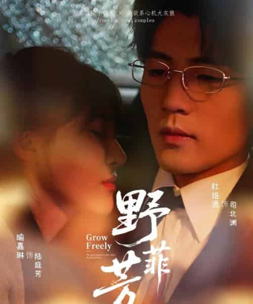 野芳菲(60集)喻嘉琳&杜培源-初遇资源网