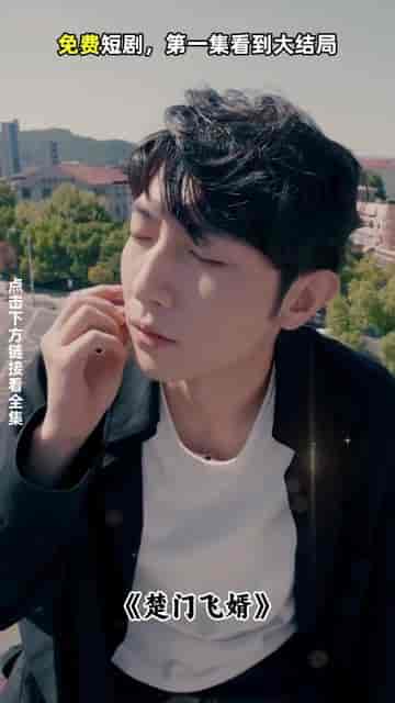 楚门飞婿（87集）-初遇资源网