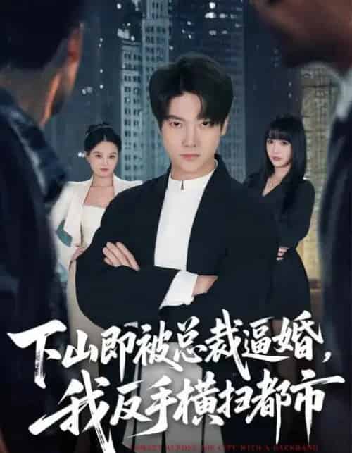 下山即被总裁逼婚，我反手横扫都市（80集全）成梓宁＆毛心童-初遇资源网