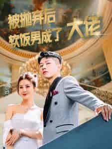 被抛弃后软饭男成了大佬(100集)-初遇资源网