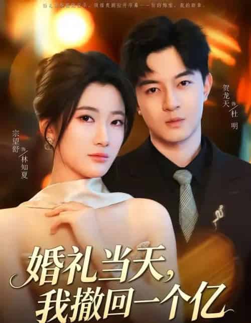 婚礼当天,我撤回一个亿 婚礼当天,我撤回一个亿