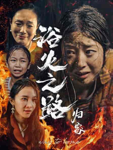 浴火之路归家（34集全）-初遇资源网