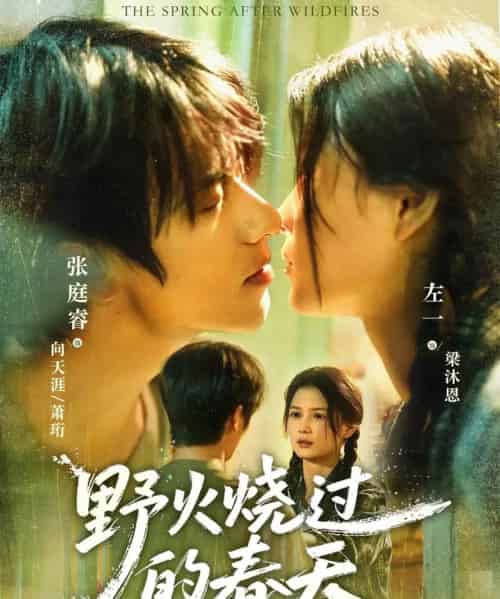 野火烧过的春天（85集全）张庭睿＆左一-初遇资源网