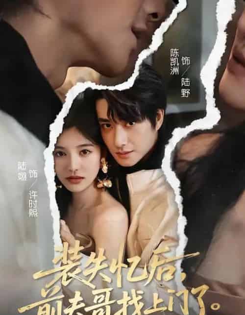 装失忆后，前夫哥找上门了（60集全）陈凯洲＆陆翊-初遇资源网