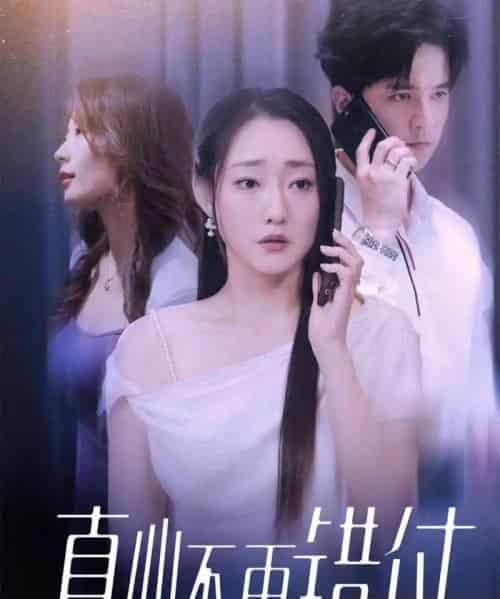 真心不再错付(51集全)吴思橦&建泽正-初遇资源网