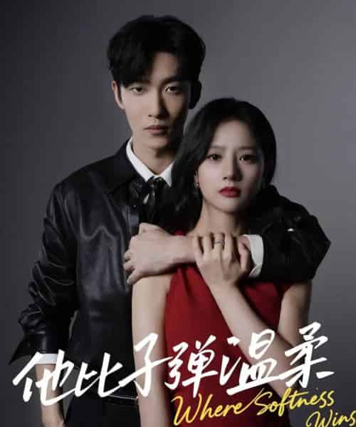 他比子弹温柔(68集全)姚冠宇&朱丽岚-初遇资源网