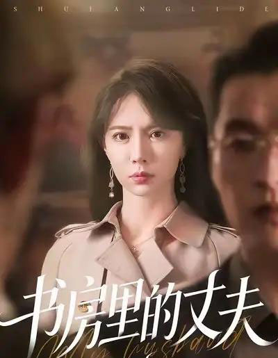 书房里的丈夫（100集全）辛宛柔＆赵焕城-初遇资源网
