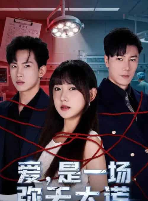 爱是一场弥天大谎(60集全)岳杨&顾书齐-初遇资源网