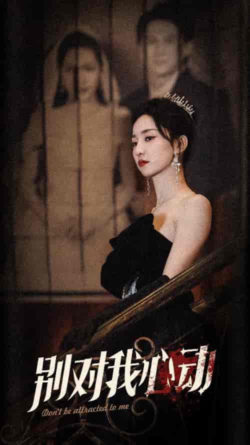 别对我心动（72集）赵慧楠-初遇资源网