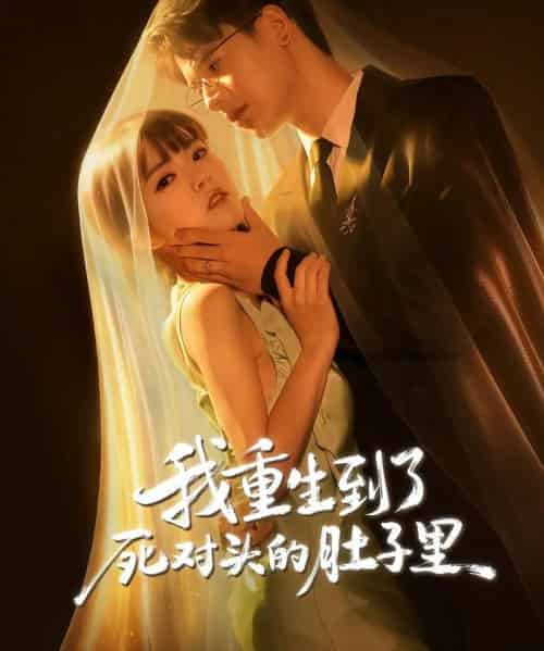 我重生到了死对头的肚子里（55集全）王浩博＆李雪丹-初遇资源网