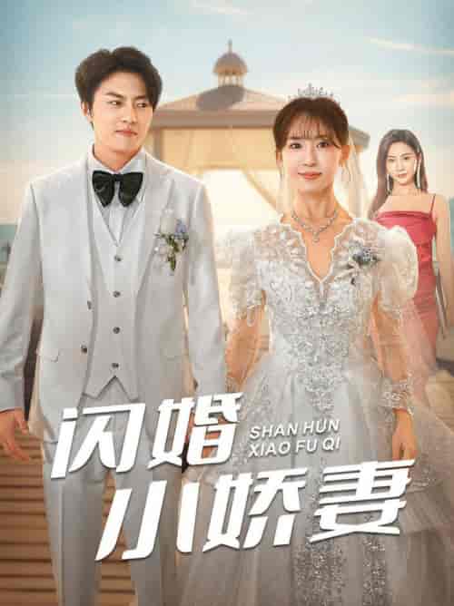 闪婚小娇妻(102集全)张磊&房蕾-初遇资源网