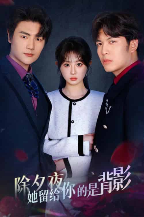 除夕夜她留给你的是背影&一厢情愿两自伤(30集)魏家乐-初遇资源网