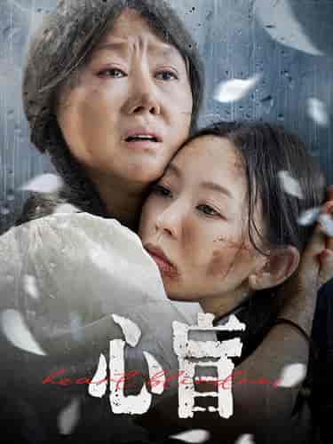 心盲(100集)-初遇资源网