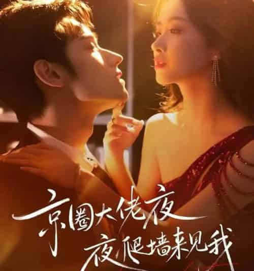 京圈大佬夜夜爬墙来见我＆吻上瘾，顾总他破防了＆京圈大佬夜夜爬墙来见我＆吻上瘾顾总他破防了（73集全）-初遇资源网